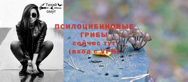 спиды Абдулино