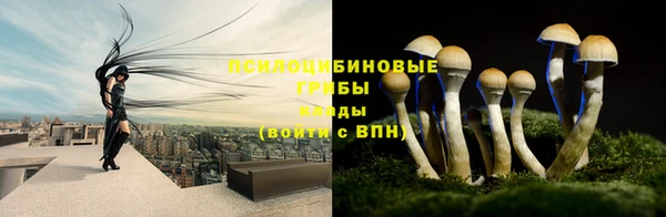 ГАЛЛЮЦИНОГЕННЫЕ ГРИБЫ Алексеевка