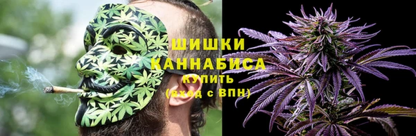 МДПВ Осинники