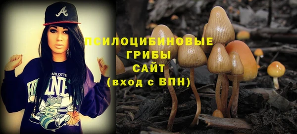 спиды Абдулино